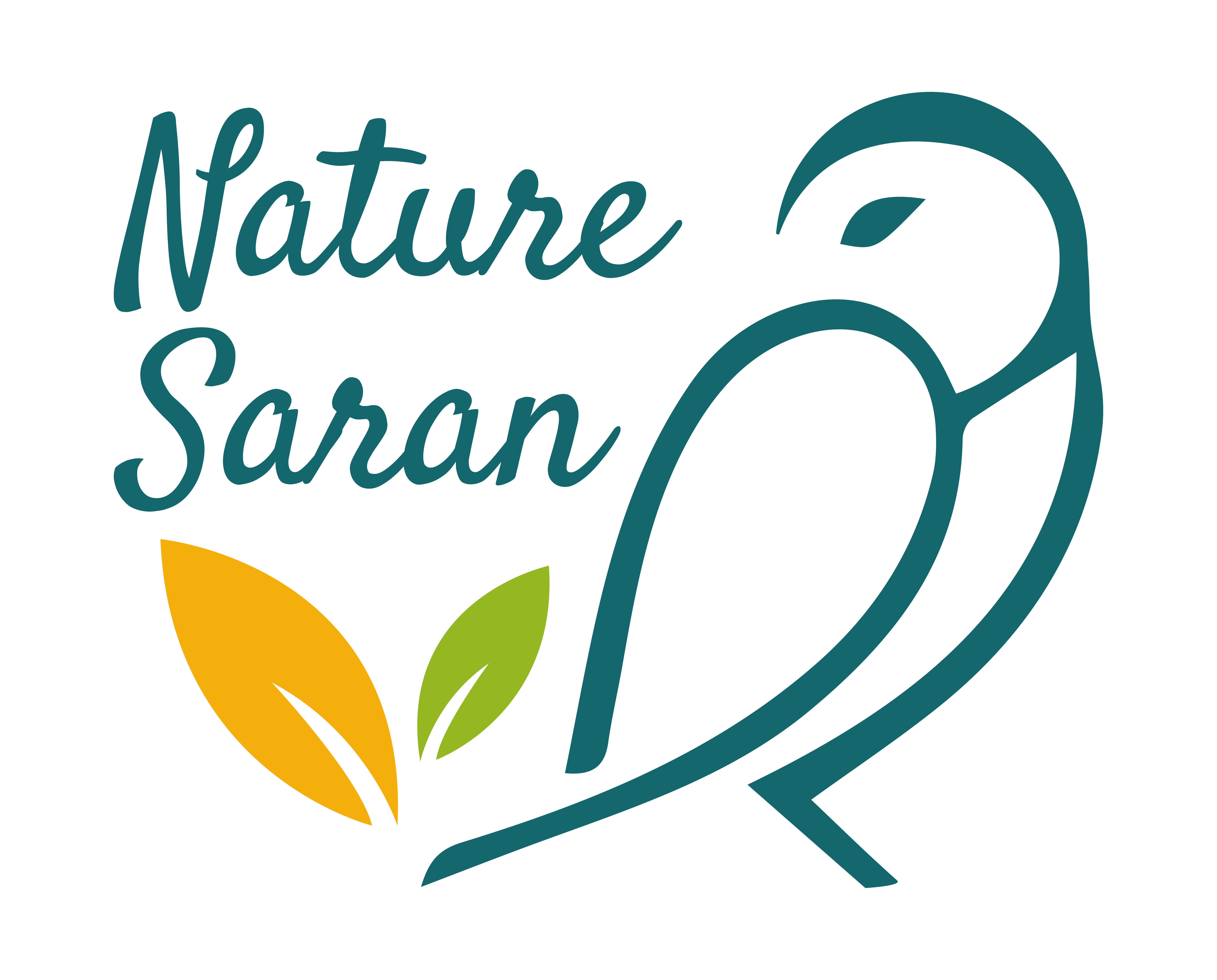 Association Nature Saran